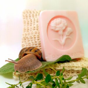 SAPONE BAVA DI LUMACA 80 gr