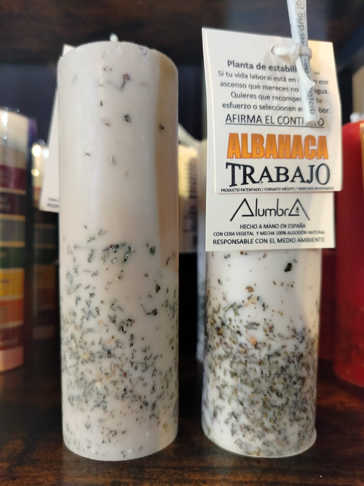 Immagine WhatsApp 2025-11-05 ore 11.58.23_9ce0ed9d