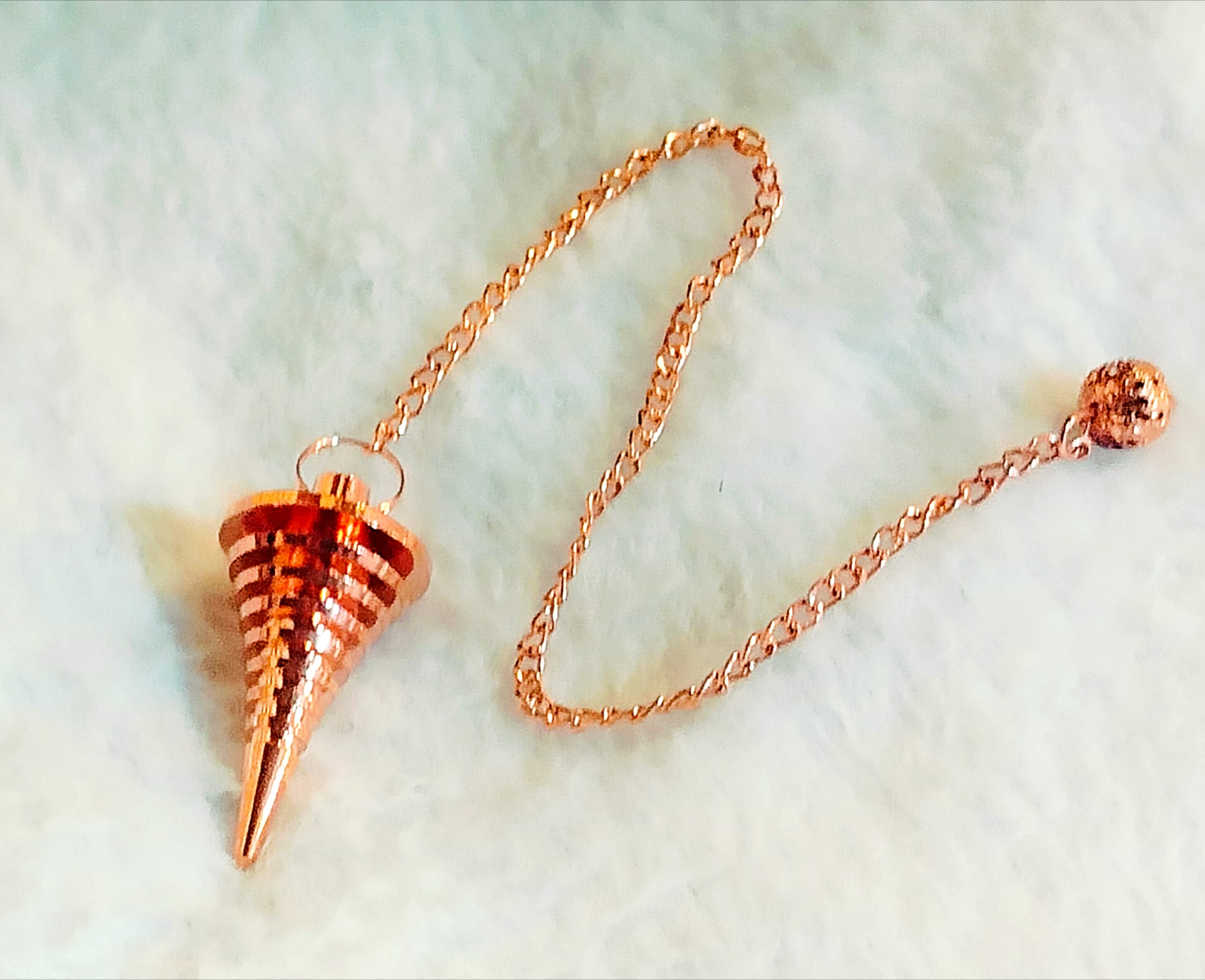 Immagine WhatsApp 2025-11-19 ore 09.57.07_23557926