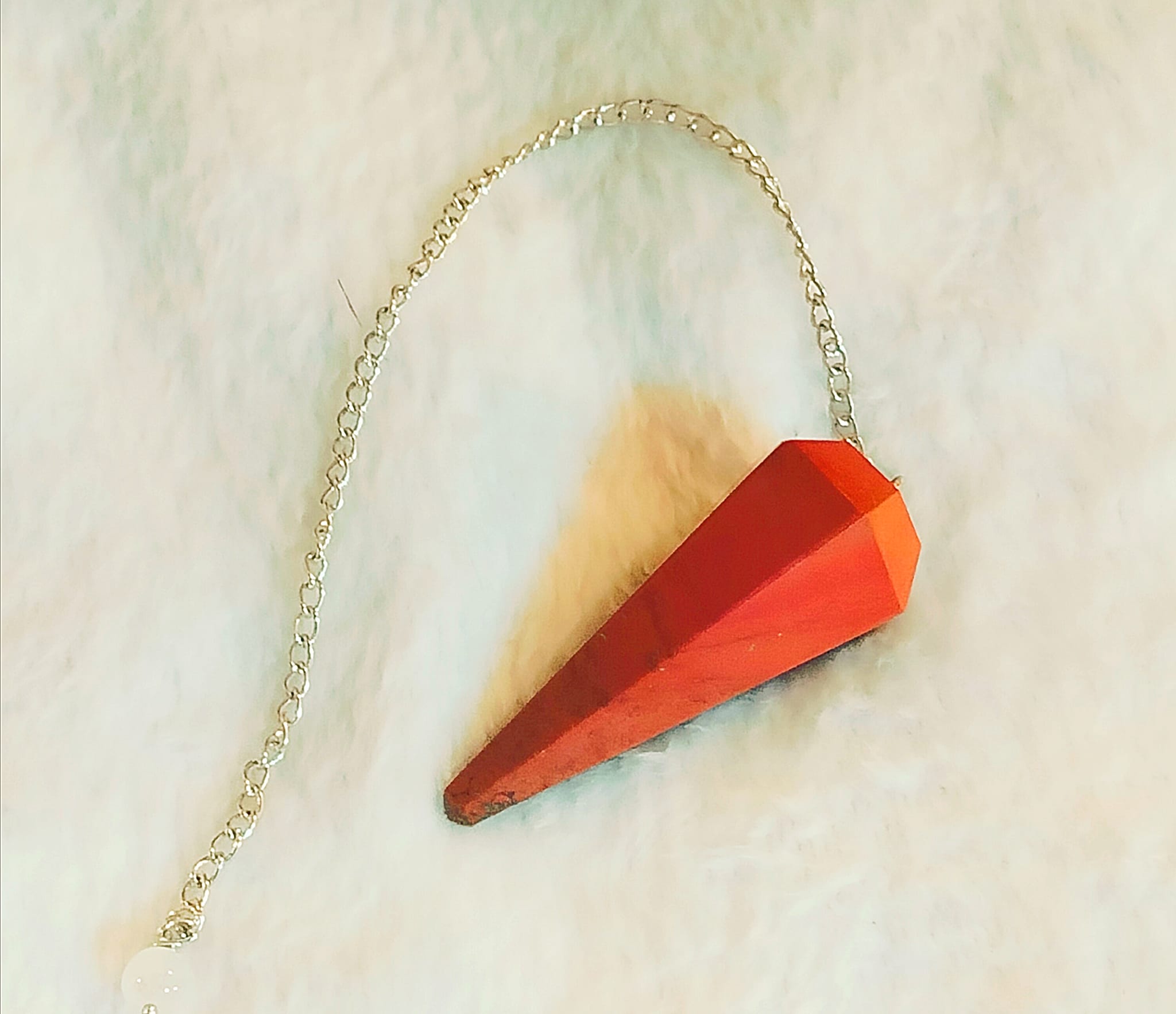 Immagine WhatsApp 2025-11-19 ore 10.22.14_b32ef47a