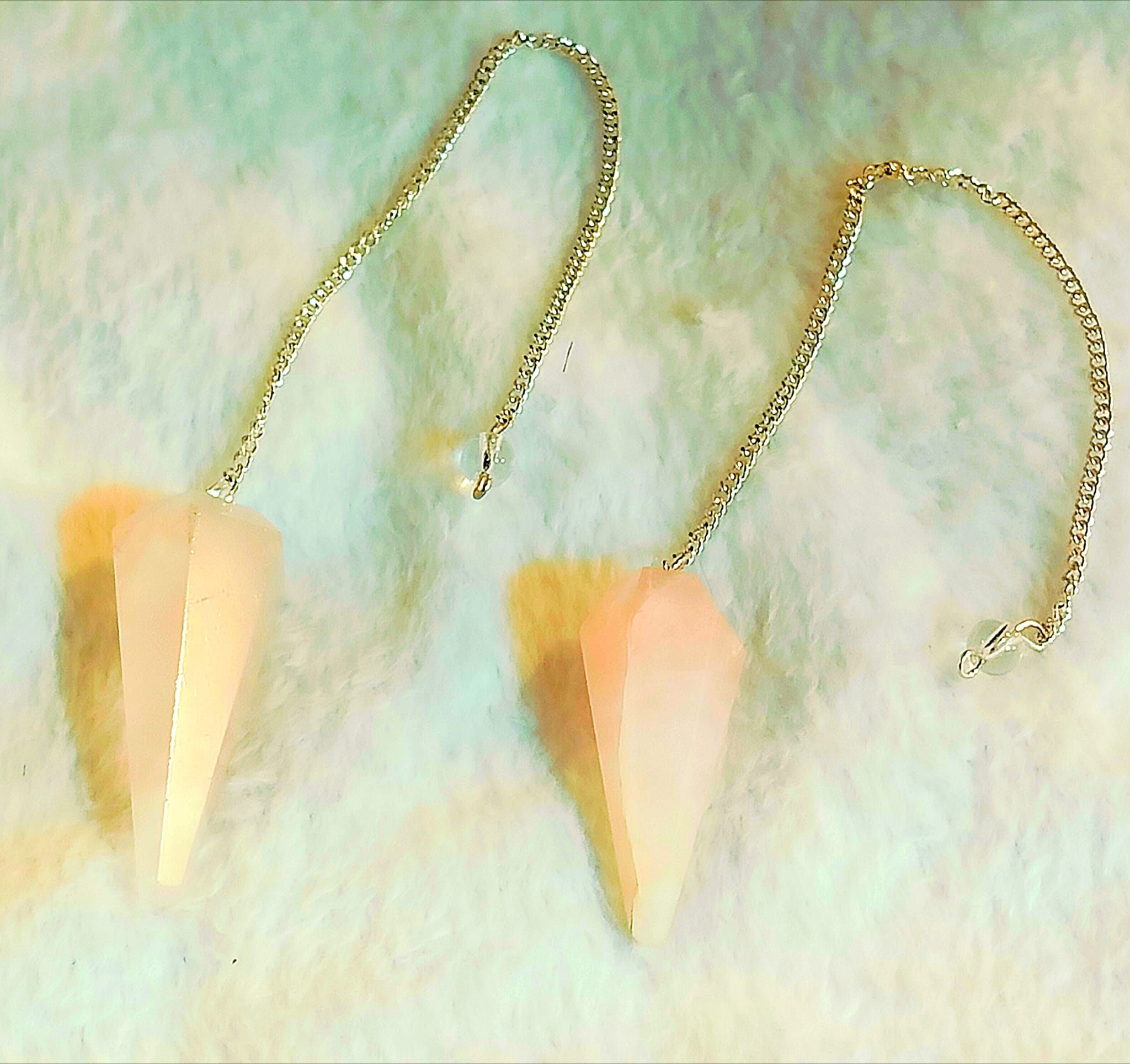 Immagine WhatsApp 2025-11-19 ore 10.29.04_fc82f148