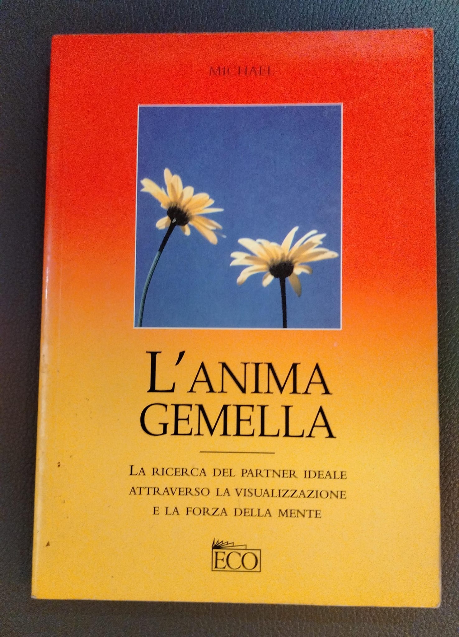 Libro L’ANIMA GEMELLA (Usato)